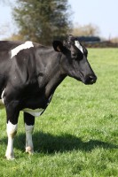 /album/fermelagrandefontaine/img-0769-jpg/