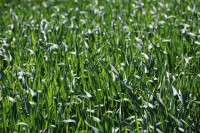 /album/fermelagrandefontaine/img-0839-jpg/