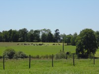 /album/fermelagrandefontaine/dsc00625-jpg/